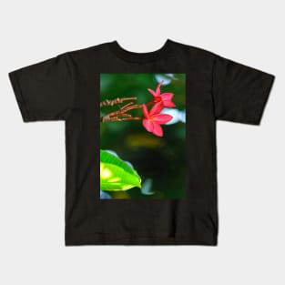 plumeria-flowers-frangipani-floral-red-blossoms-shirtyshirto-34 Kids T-Shirt